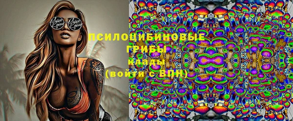 дурь Белоозёрский