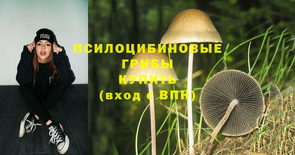 дурь Белоозёрский